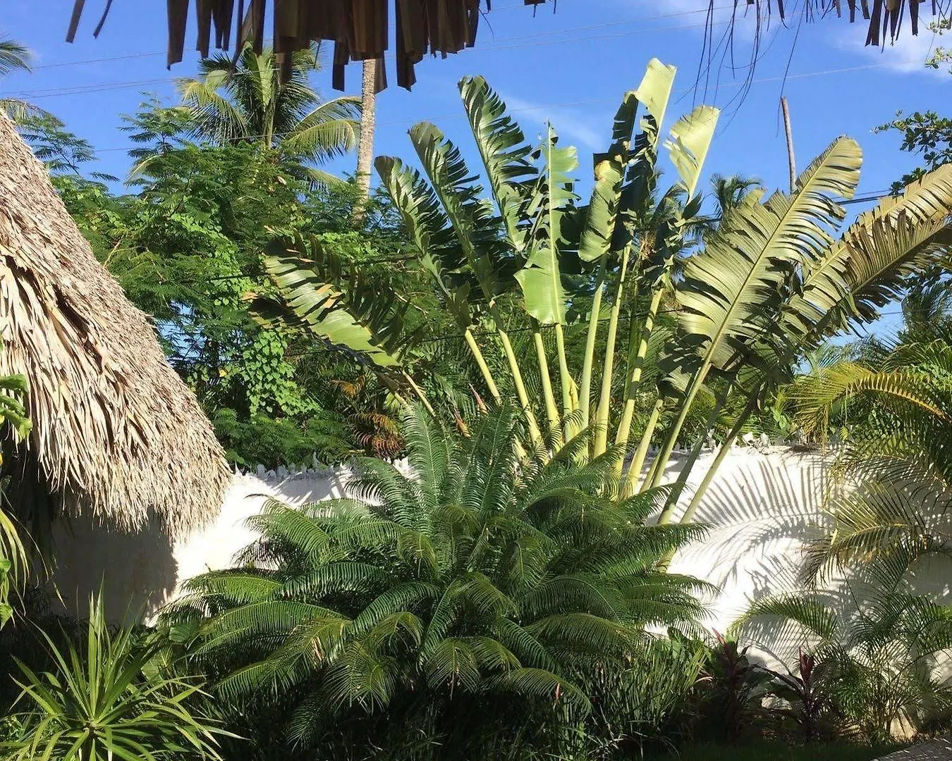 Mahona Bed & Breakfast Las Terrenas 3*,